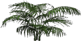 Mgtxd palm dxt1.png